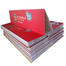 different shape promotional corflute sheet printing