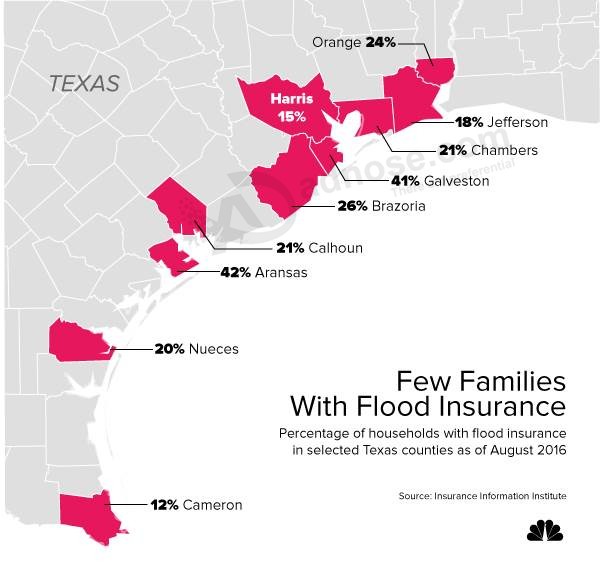 First Water, Then Red Ink: The Cost of Recovery When Most Are Uninsured
