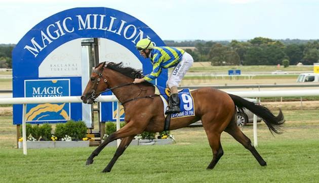 Kennewell seeks Magic Millions redemption