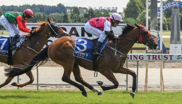 Tapanui Cup maintains Heavy winning run