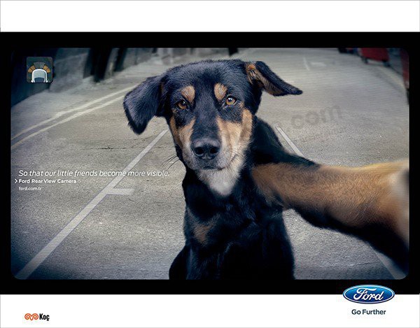 03.-Ford-Rear-View-Camera-662x517