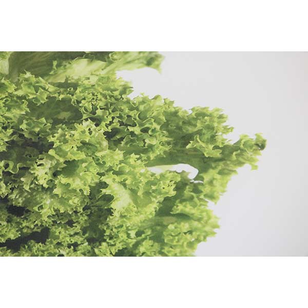 Die Cut Vegetables Advertising Abs Board Printing